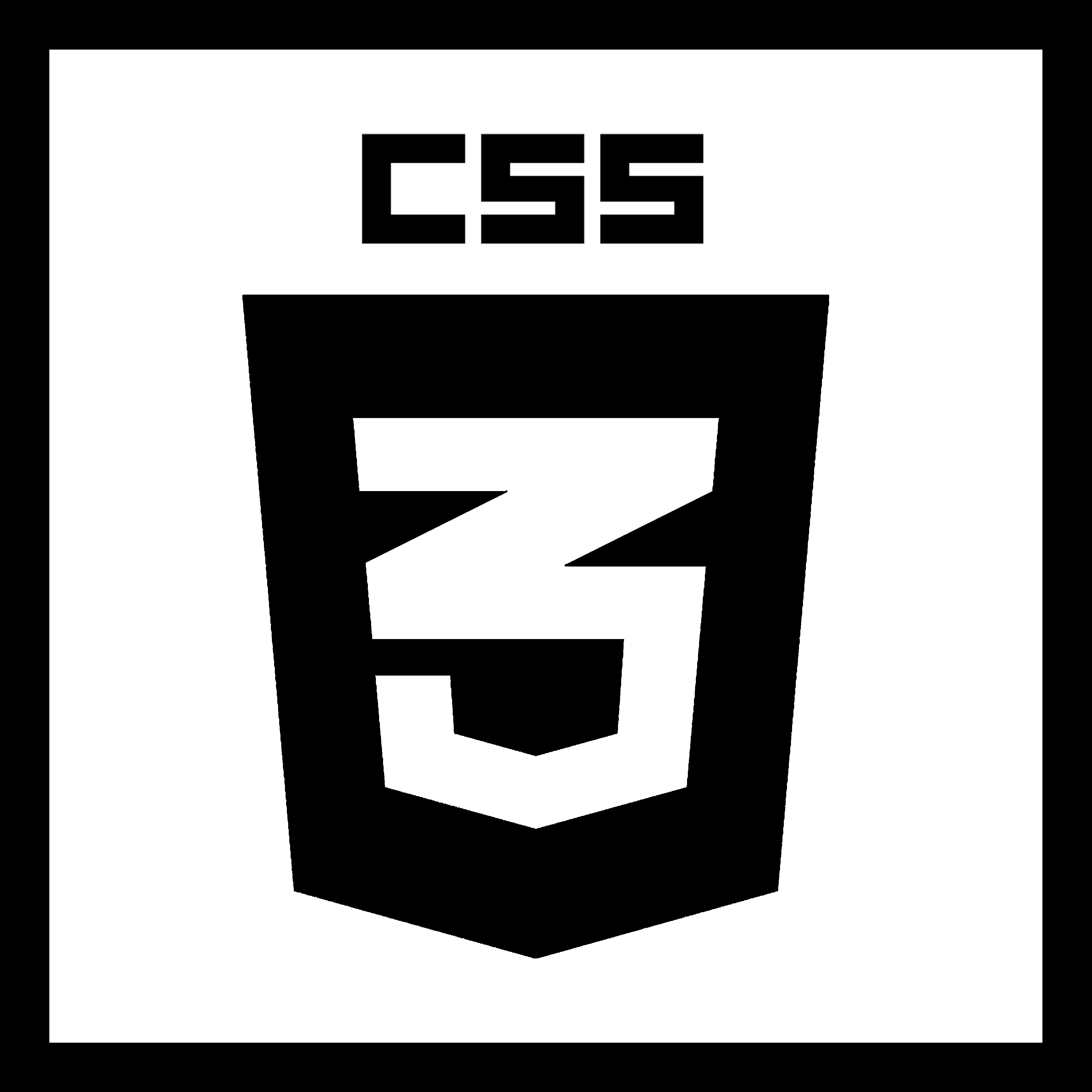 CSS